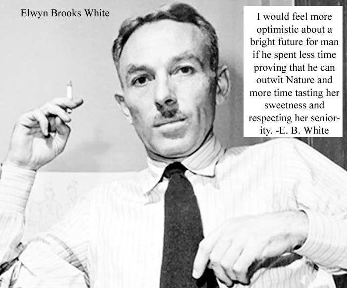 Elwyn Brooks White American writer, essayist contributing editor The New Yorker magazine author of highly popular children books Born 11 July 1899 Mount Vernon, New York